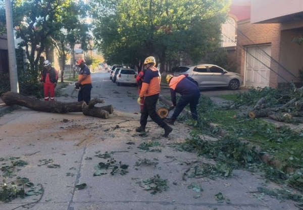 Gobierno despleg&oacute; un amplio operativo ante las fuertes r&aacute;fagas de viento en la capital