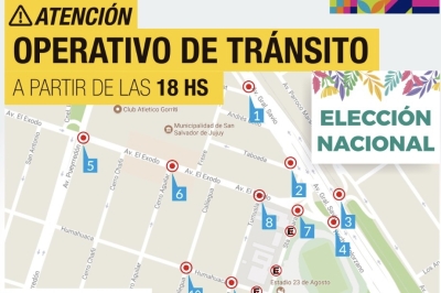 Disposiciones del tr&aacute;nsito por la Elecci&oacute;n de la Representante Nacional