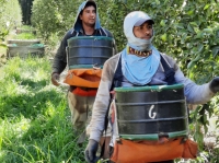 RENATRE actualiz&oacute; la Prestaci&oacute;n por Desempleo