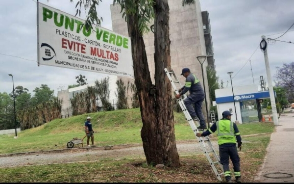 Recolecci&oacute;n diferenciada de residuos en nuestra ciudad