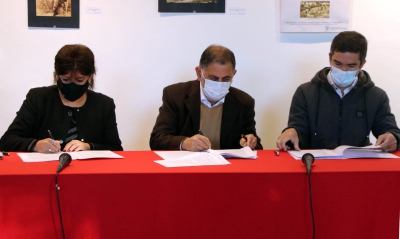 Aceites vegetales para transformarlos en biodiesel