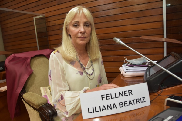 Liliana Fellner denunci&oacute; el estado de abandono del Cabildo de Jujuy