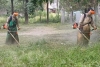 Chikungunya: Jujuy ya registran un total de 18 personas infectadas