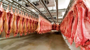 Suspenden la operación de 12 empresas exportadoras de carne