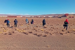 Microplásticos:Analizaron ecosistemas de la Puna. Esperan resultados