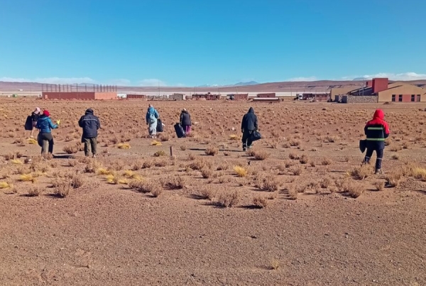 Micropl&aacute;sticos:Analizaron ecosistemas de la Puna. Esperan resultados