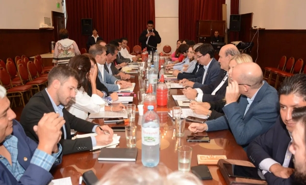 Cardozo expuso el proyecto de emergencia econ&oacute;mica en Diputados
