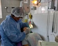 Los cuatros hospitales del Ramal realizan tratamientos de conducto