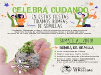 Proponen arrojar bombas...pero de semillas