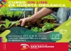 Curso on-line de huerta org&aacute;nica