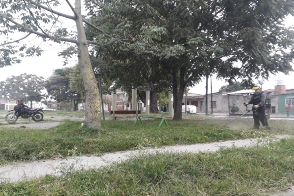 Continua desmalezado en barrios capitalinos