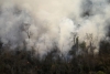Incendios Forestales: Jujuy declara emergencia &iacute;gnea y triplica las multas