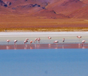 Las cuatro regiones de Jujuy presentes en "La Ruta Natural"