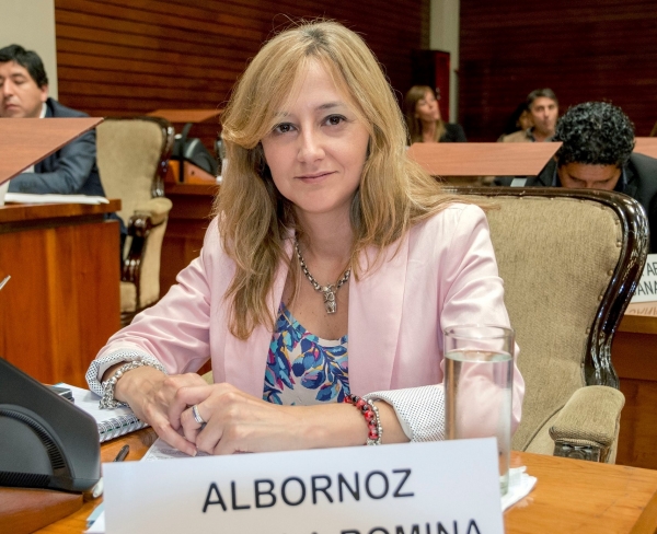 DIPUTADA GABRIELA ALBORNOZ &ldquo;LA OPOSICI&Oacute;N OPTO POR LA IMPUNIDAD&rdquo;
