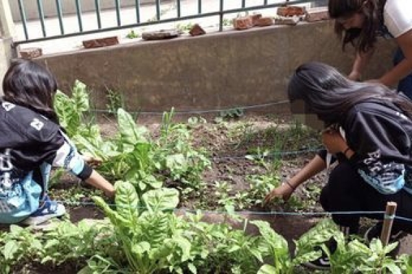 Dictaron nuevo m&oacute;dulo sobre huertas agroecol&oacute;gicas