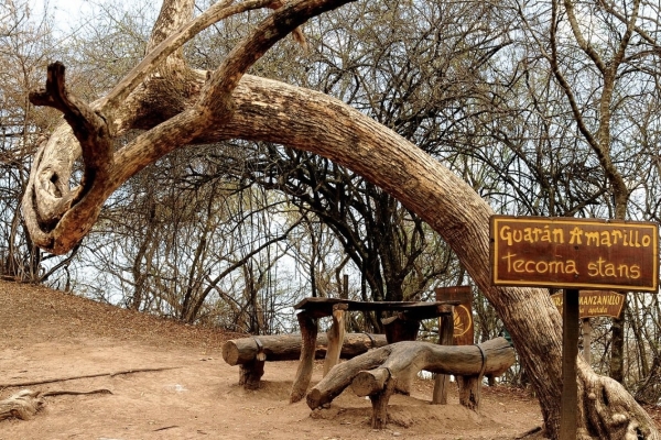 Caminata tem&aacute;tica en el Parque Bot&aacute;nico Municipal en el D&iacute;a Internacional de los Bosques