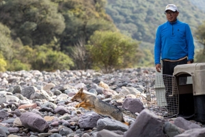 El CAFAJu celebra 10 a&ntilde;os cuidando la fauna aut&oacute;ctona
