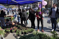 Paseo de las Plantas: un punto de encuentro social, comercial y para recrearse los d&iacute;as s&aacute;bados