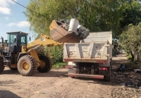 Prevenci&oacute;n del dengue y chikungunya. Descacharrado en Capital