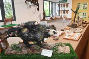 Actividades del Parque Bot&aacute;nico en el inicio del ciclo lectivo 2026