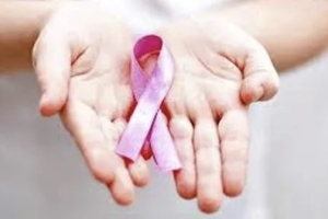 El ISJ, CEGIN y Mamotest unifican acciones para incentivar el diagn&oacute;stico en el mes de la prevenci&oacute;n del c&aacute;ncer de mama