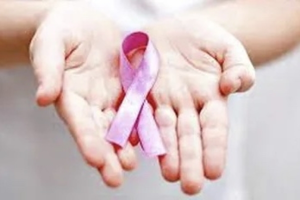 El ISJ, CEGIN y Mamotest unifican acciones para incentivar el diagn&oacute;stico en el mes de la prevenci&oacute;n del c&aacute;ncer de mama