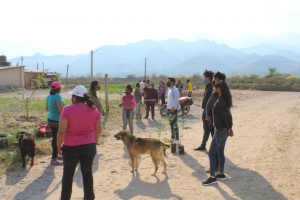 Plan Estrat&eacute;gico Forestal en la Quebrada