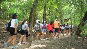 El Parque Bot&aacute;nico Municipal diversifica sus acciones para la preservaci&oacute;n de las reservas naturales