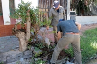 Positivo balance del programa de arborizaci&oacute;n municipal