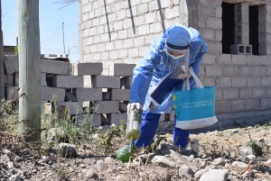 La temporada contin&uacute;a sin casos de dengue