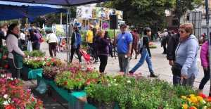 Espect&aacute;culo musical durante la Flor M&aacute;s Bella