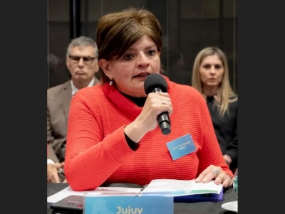 Preocupaci&oacute;n. Milei eliminar&iacute;a por Decreto el Fideicomiso de Bosques nativos