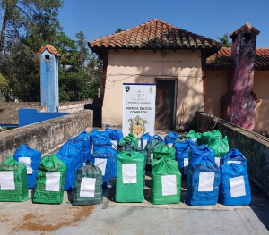Decomisan 831 kilos de hoja de coca en estado natural