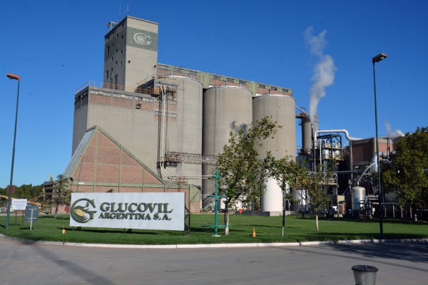 Ledesma vendi&oacute; Glucovil y planea inversiones en Jujuy