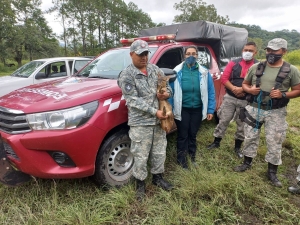 La fauna silvestre clave para los ecosistemas
