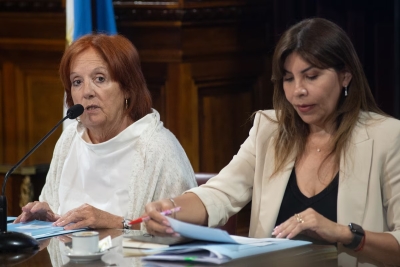 Senado: la suspensi&oacute;n de las PASO obtuvo dictamen y qued&oacute; lista para ser sancionada la semana pr&oacute;xima