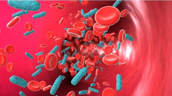 El avance de cient&iacute;ficos argentinos contra el c&aacute;ncer podr&iacute;a usarse para diversos tumores