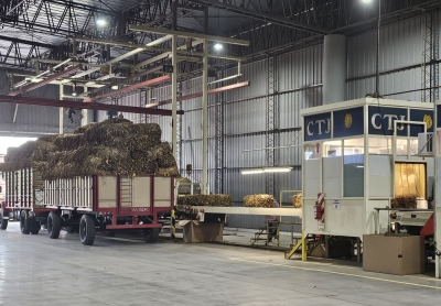 Por primera vez la totalidad del tabaco juje&ntilde;o ser&aacute; acopiado por la Cooperativa