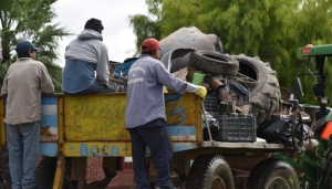 Sin casos de dengue en Jujuy hasta el momento