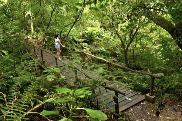 Actividades de verano en el Parque Bot&aacute;nico Municipal del B&deg; Los Perales