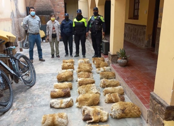 Cueros de vicu&ntilde;a fueron decomisados en Purmamarca