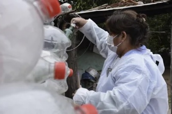 Jujuy: Se registraron 193 nuevos casos de Dengue y un fallecido