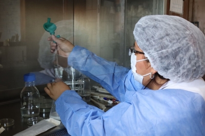 La salmonelosis es una de las enfermedades m&aacute;s frecuentes transmitidas por alimentos