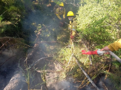 Incendios Forestales. Combatientes de Jujuy en los despliegues de Neuqu&eacute;n