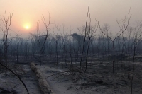 COEI: incendios forestales en Yuto y Caimancito