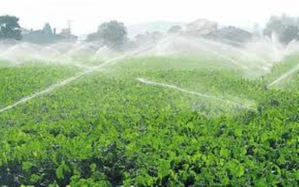 Se aprob&oacute; la ley de biocombustibles