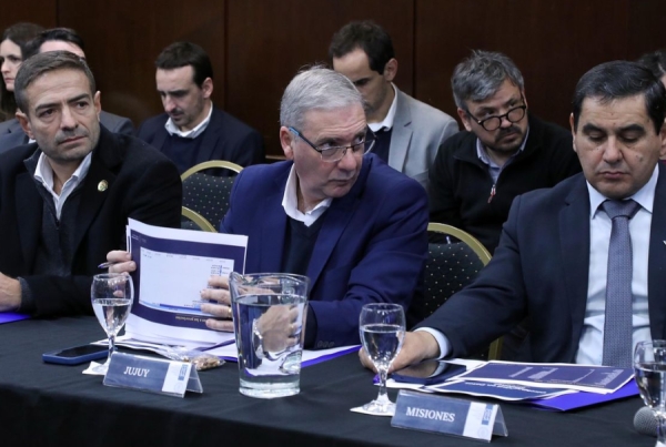 Jujuy en el COFESA. y la estrategia nacional de prevenci&oacute;n y diagn&oacute;stico del ACV