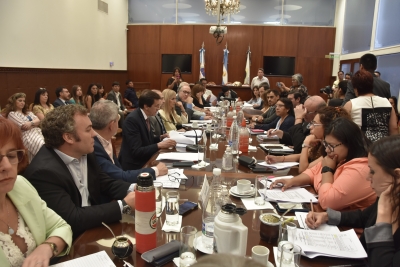 La Comisión de Finanzas recibió al ministro de hacienda Carlos Sadir