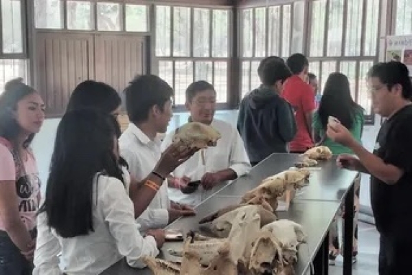 Ciencia y Tecnolog&iacute;a: 22 proyectos de Jujuy fueron seleccionados