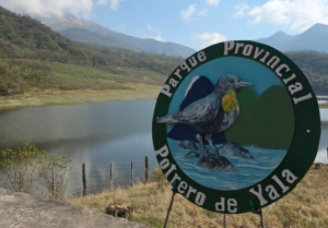 La extracci&oacute;n de musgo y pajarilla est&aacute; prohibida